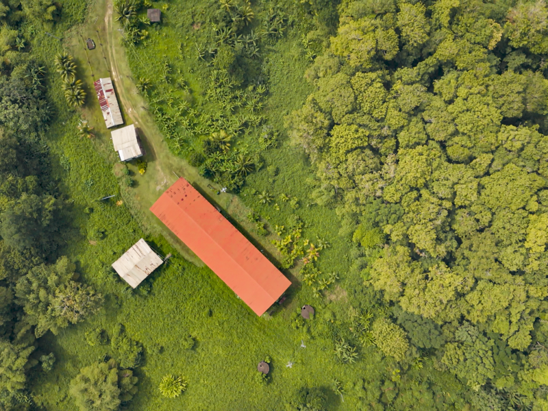 Aerial view of the abandoned rubber fields on Non Pareil Estate in 2025
