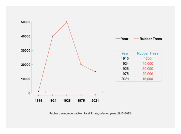 The total number of Pará rubber trees throughout Non Pareil Estate lifespan.