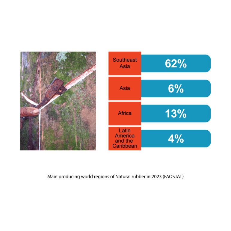 Data from Food and Agriculture Organization Corporate Statistical Database showing the world’s natural rubber production by region.